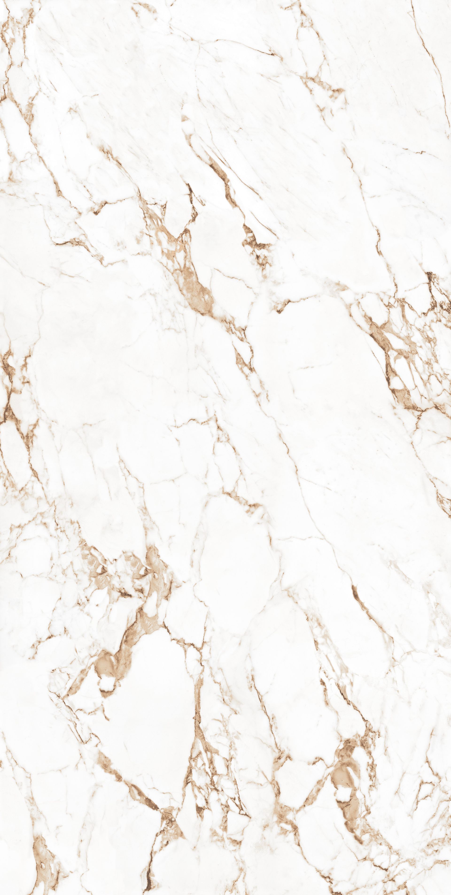 Lamar Colorado White