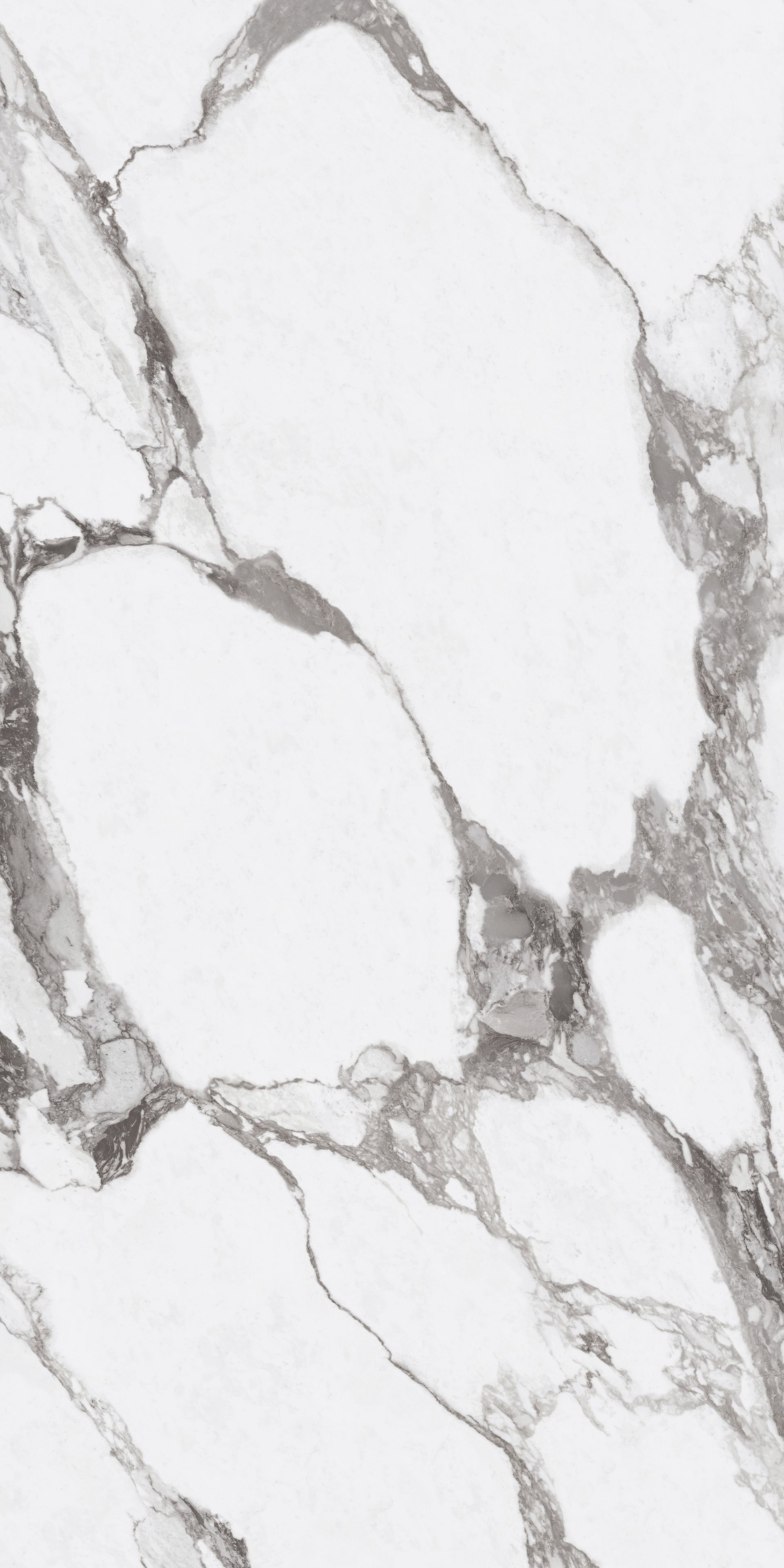 Lamar Massimo Arabescato