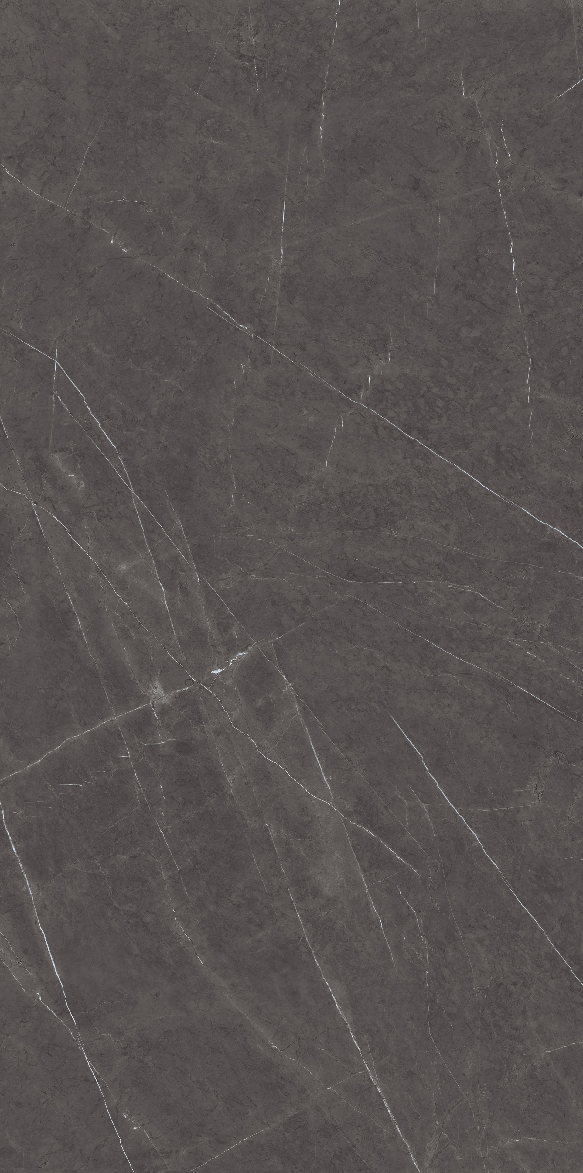 Lamar Patagonia Gold