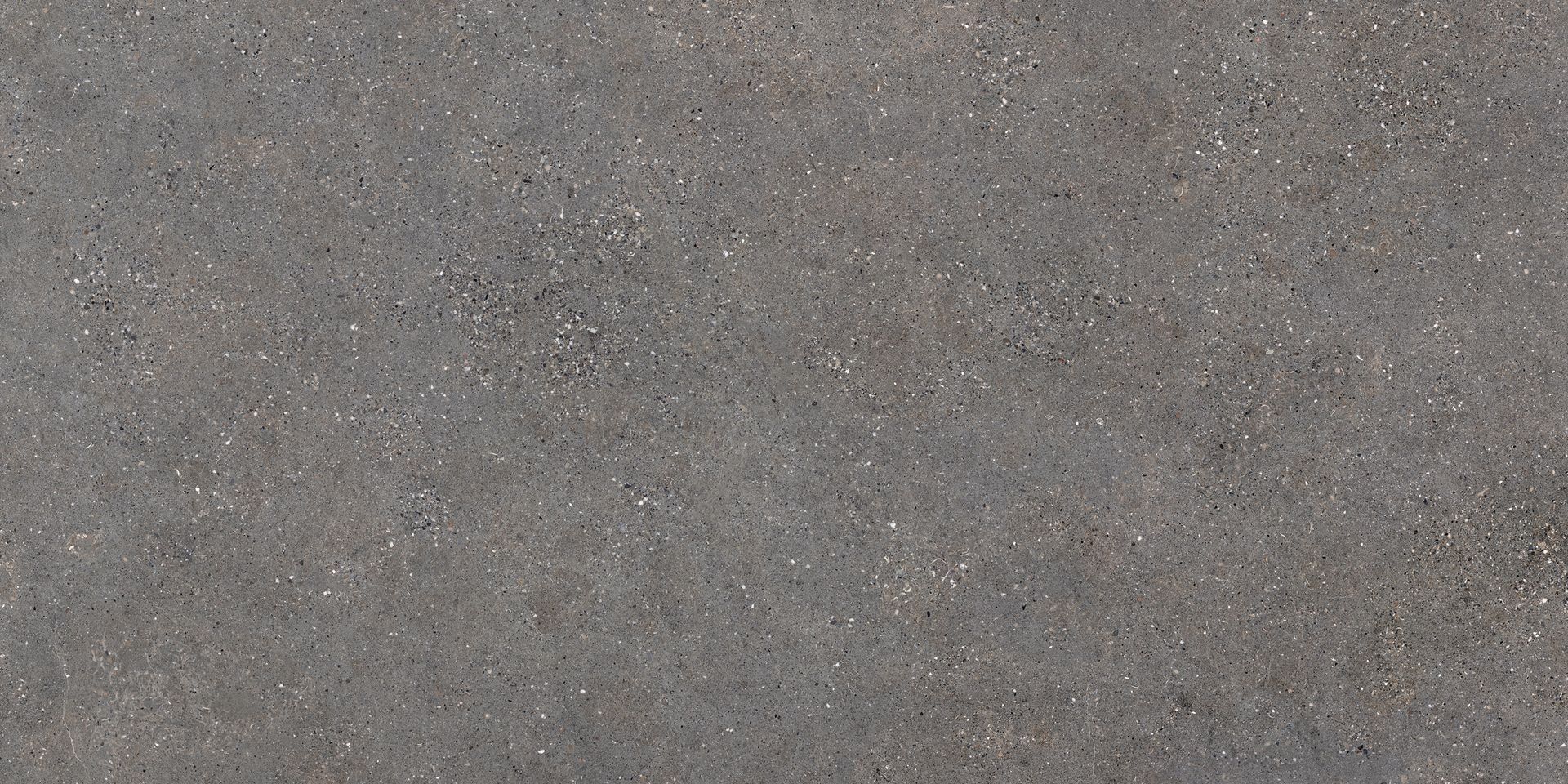 Neolith Wulong