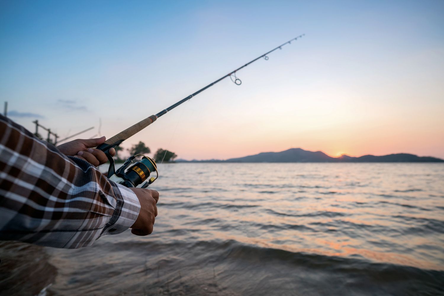 A Person is Holding a Fishing Rod