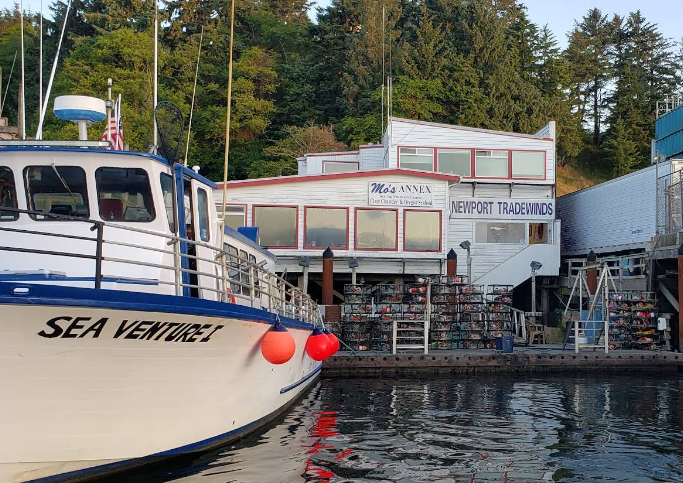 A Man is Holding a Large Fish on a Boat