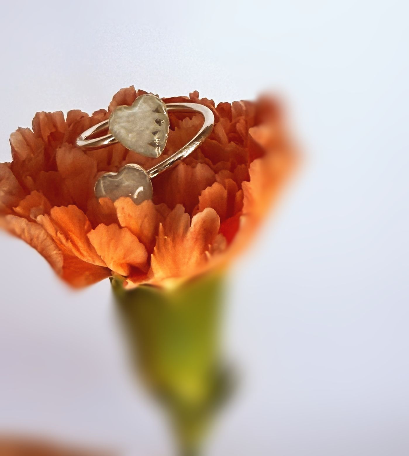 double hearts ring
