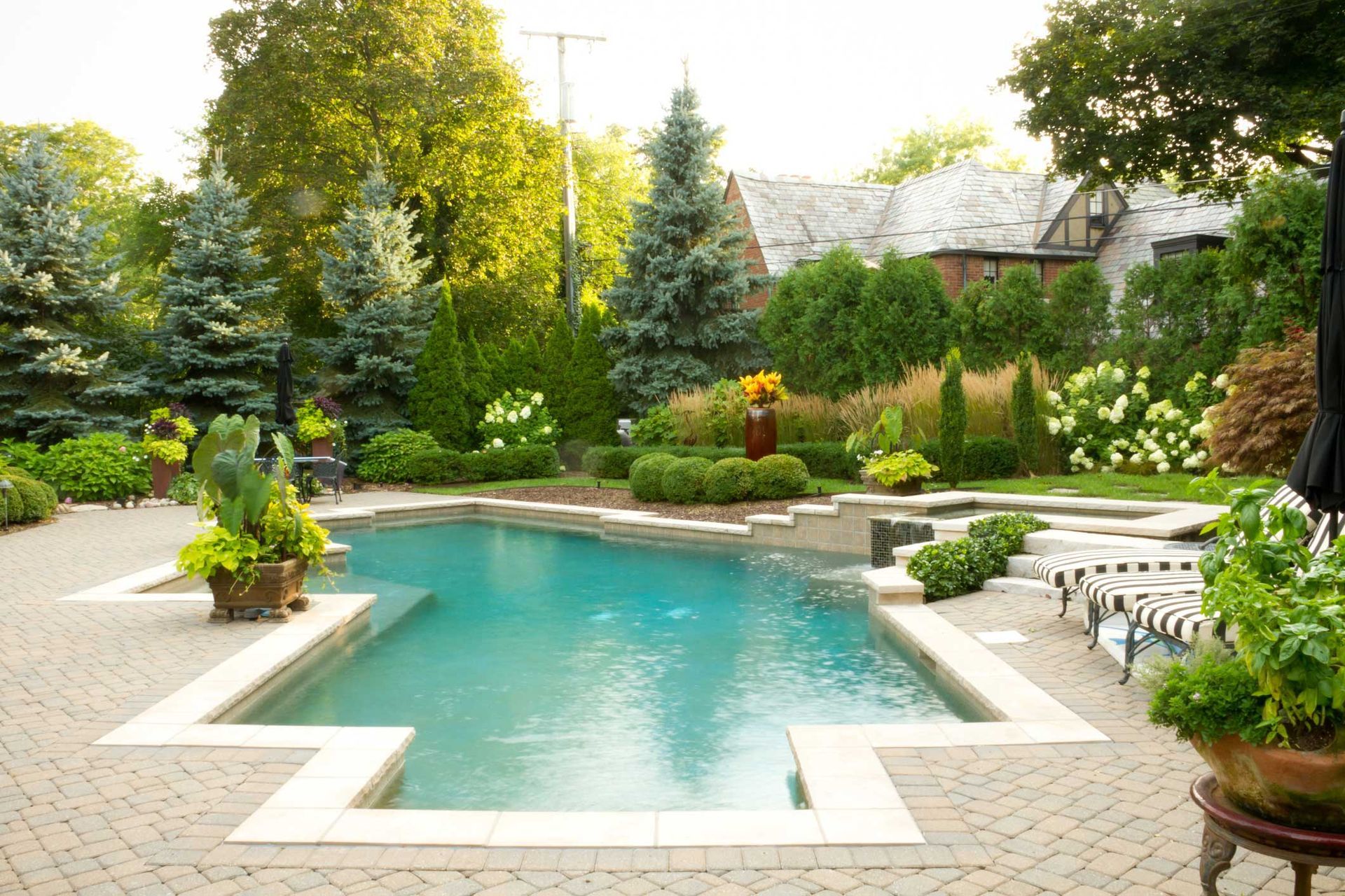 A large swimming pool is surrounded by a lush green garden