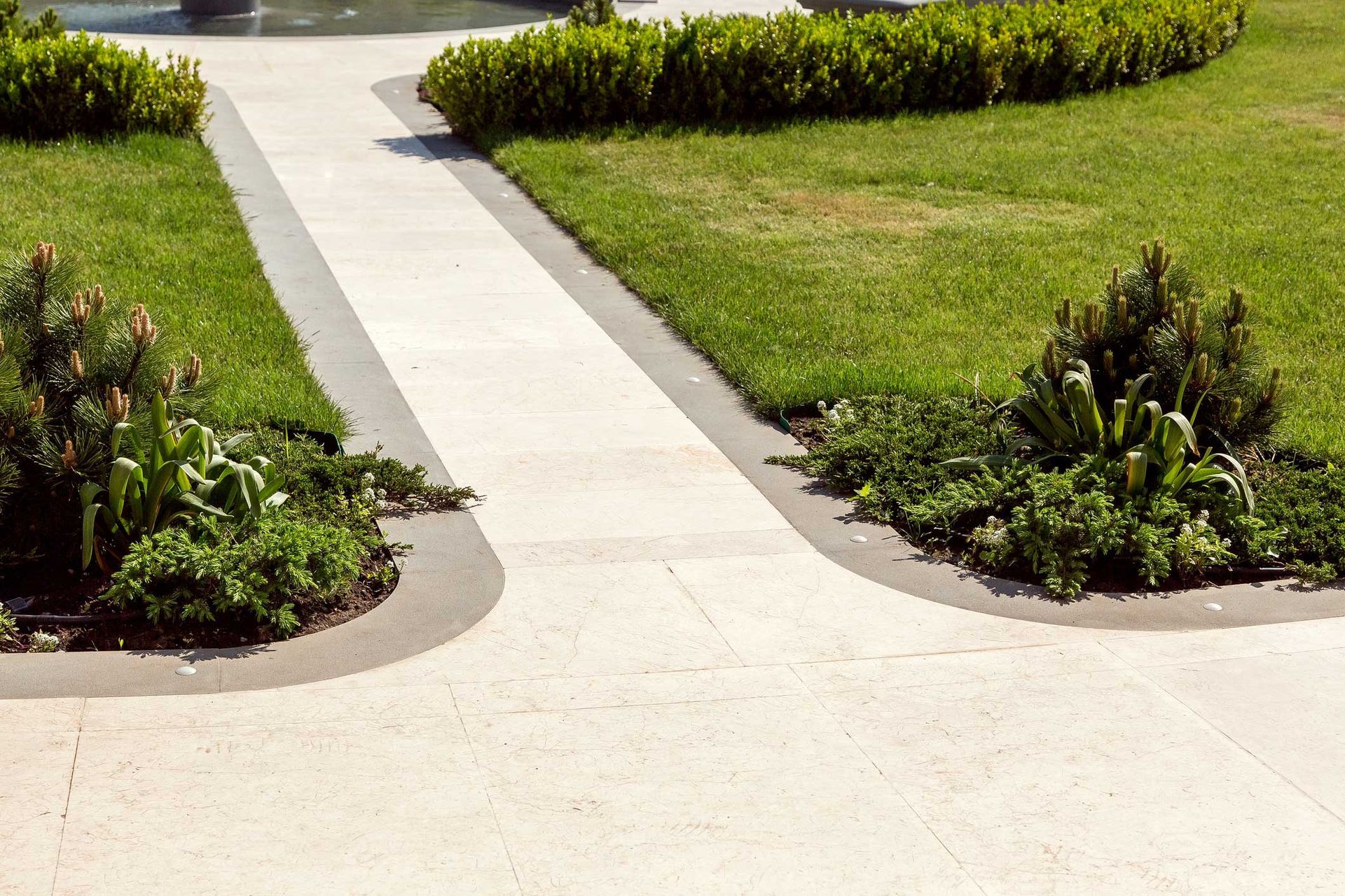 A concrete walkway surrounded by grass and bushes