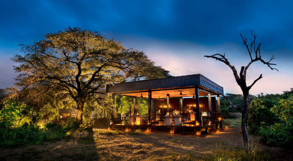 A building with a canopy over it is surrounded by trees at night.