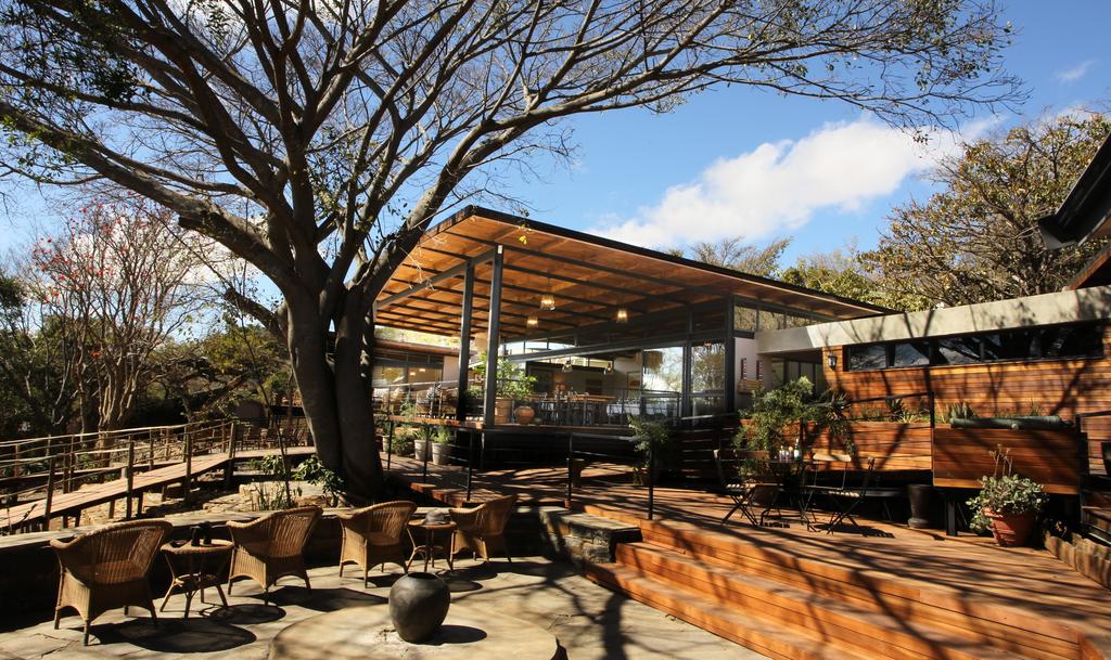 A house with a large tree in front of it
