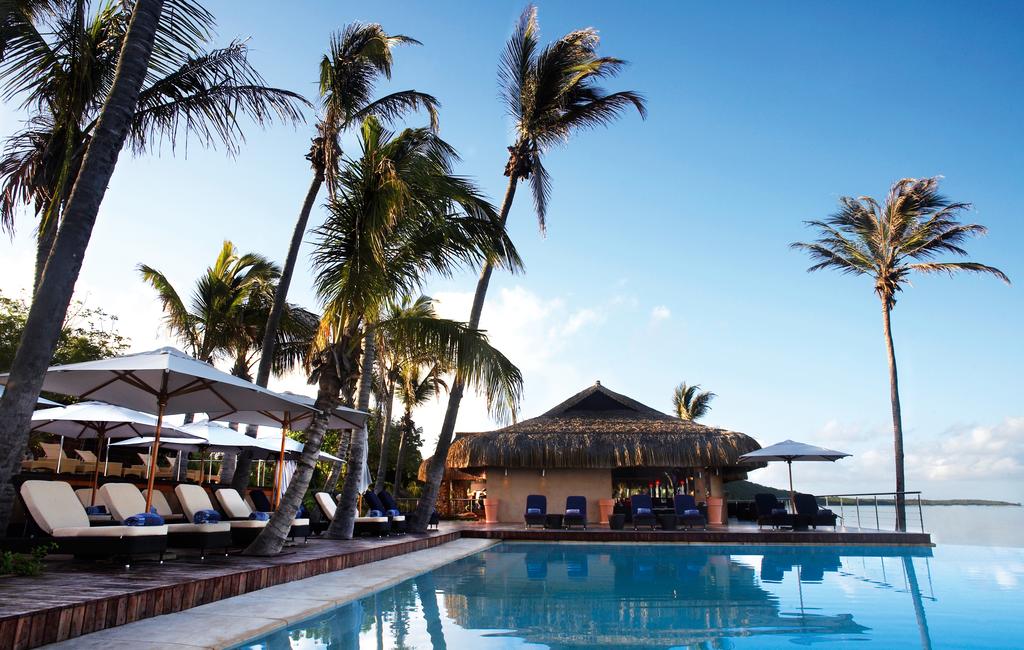 A swimming pool surrounded by palm trees and umbrellas