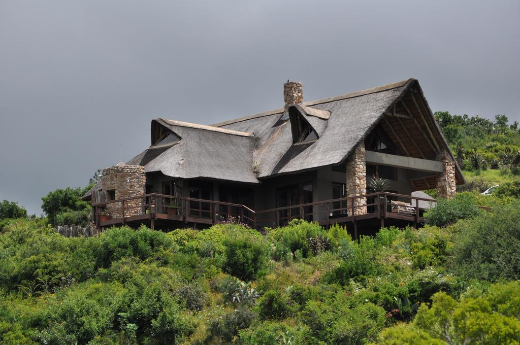 A large house with a thatched roof sits on top of a hill surrounded by trees.