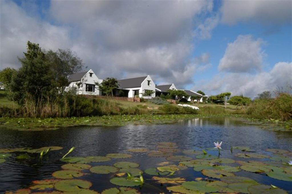 A pond with lily pads and a house in the background