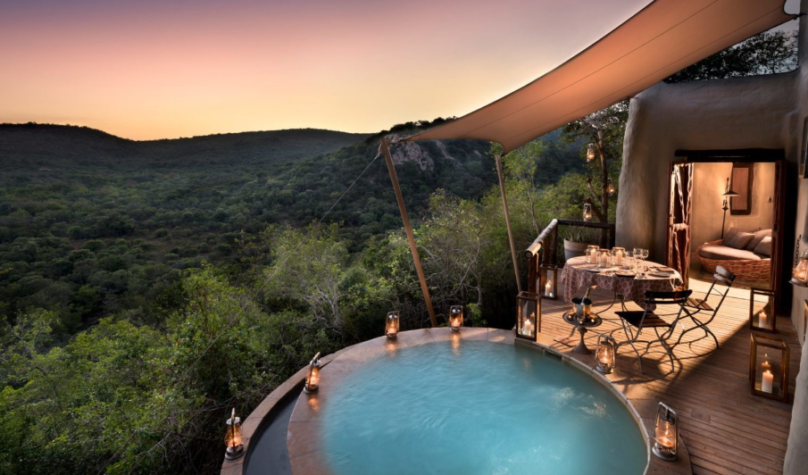 A swimming pool with a view of a lush green forest