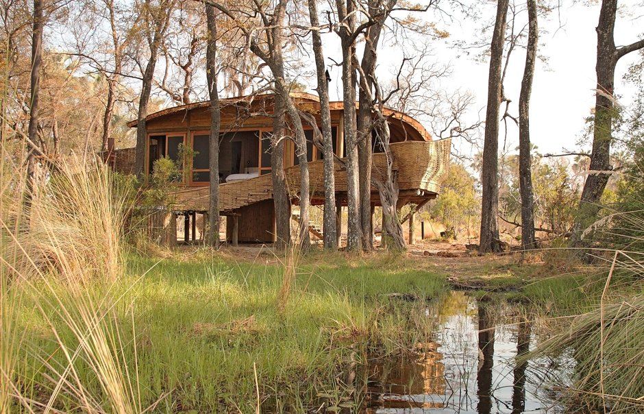 A house in the middle of a forest next to a river.