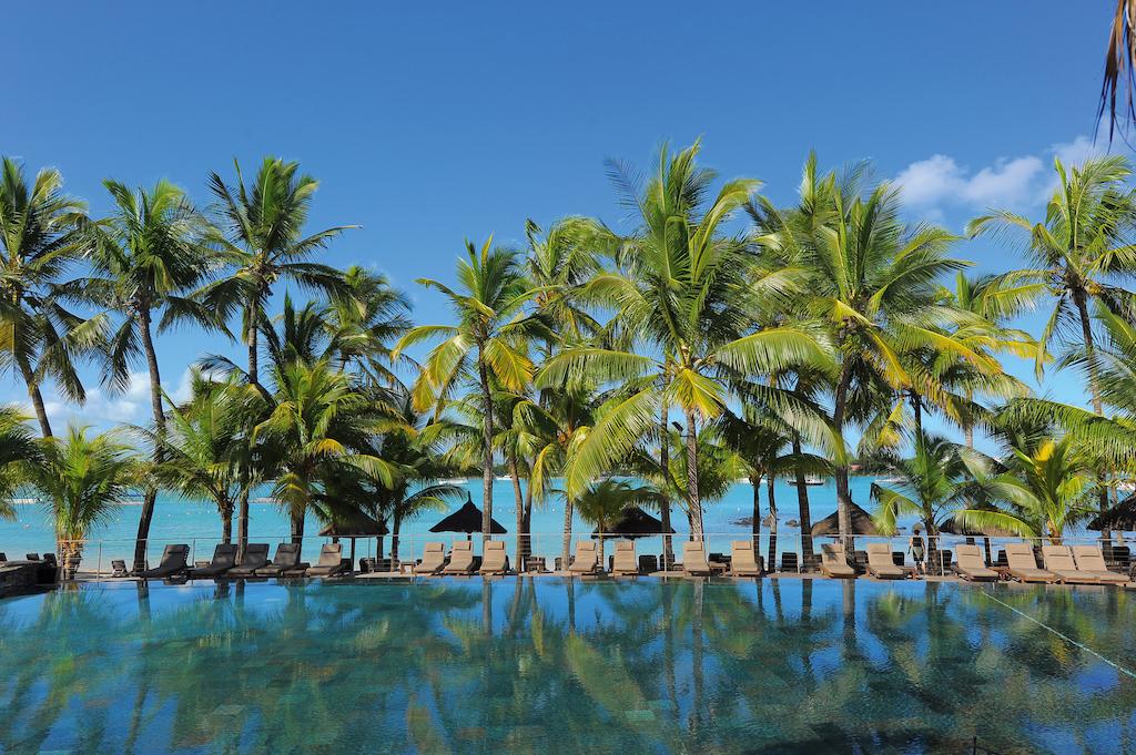 A swimming pool surrounded by palm trees on a tropical island
