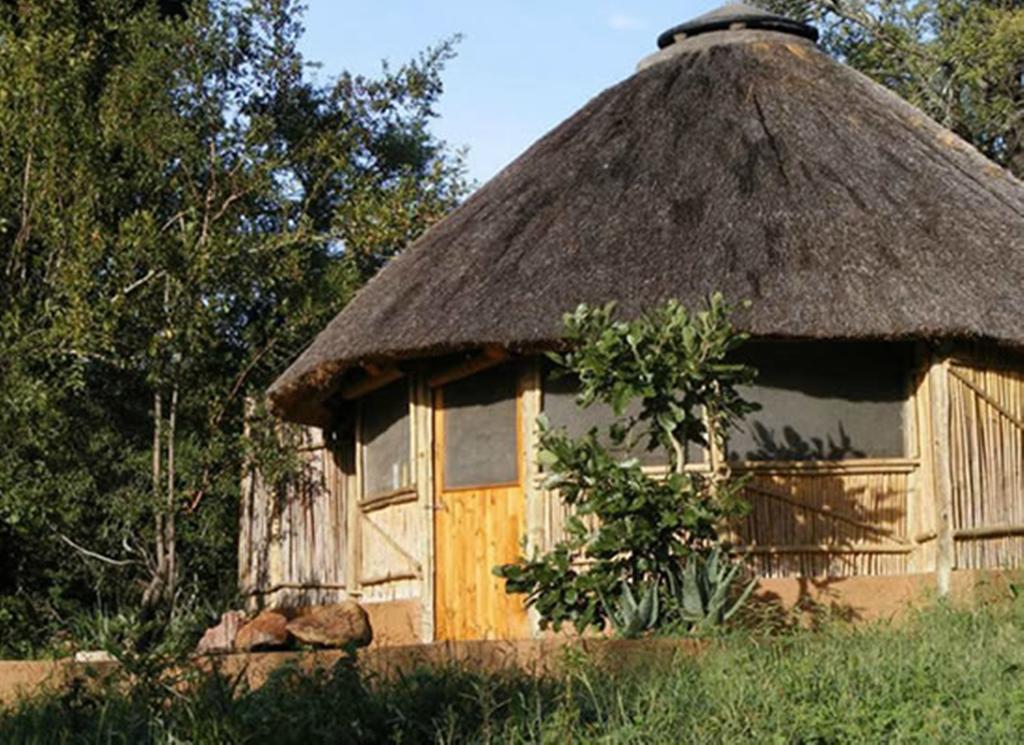 A small hut with a thatched roof is surrounded by trees