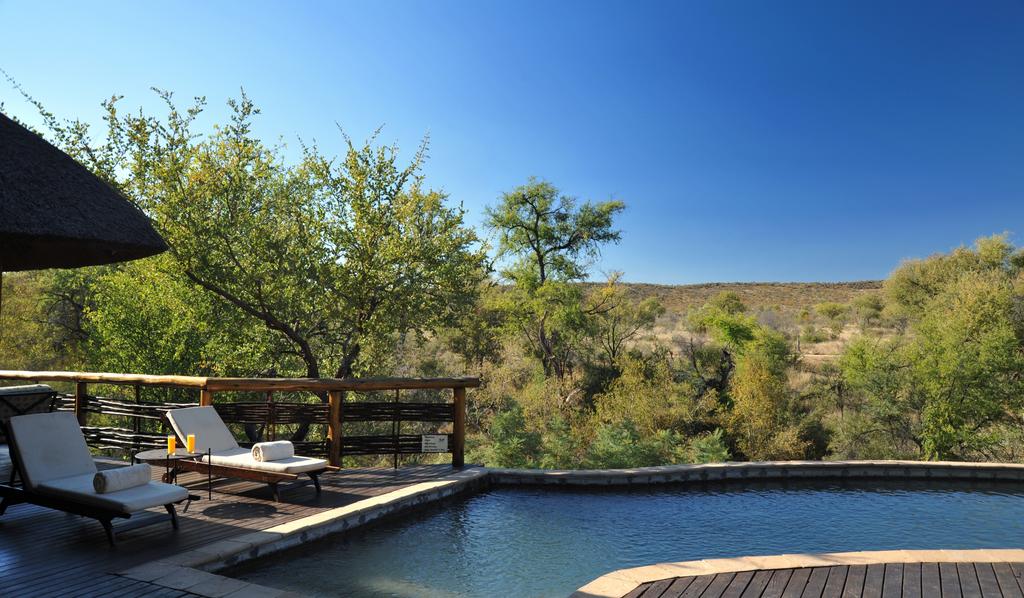 A large swimming pool surrounded by chairs and trees