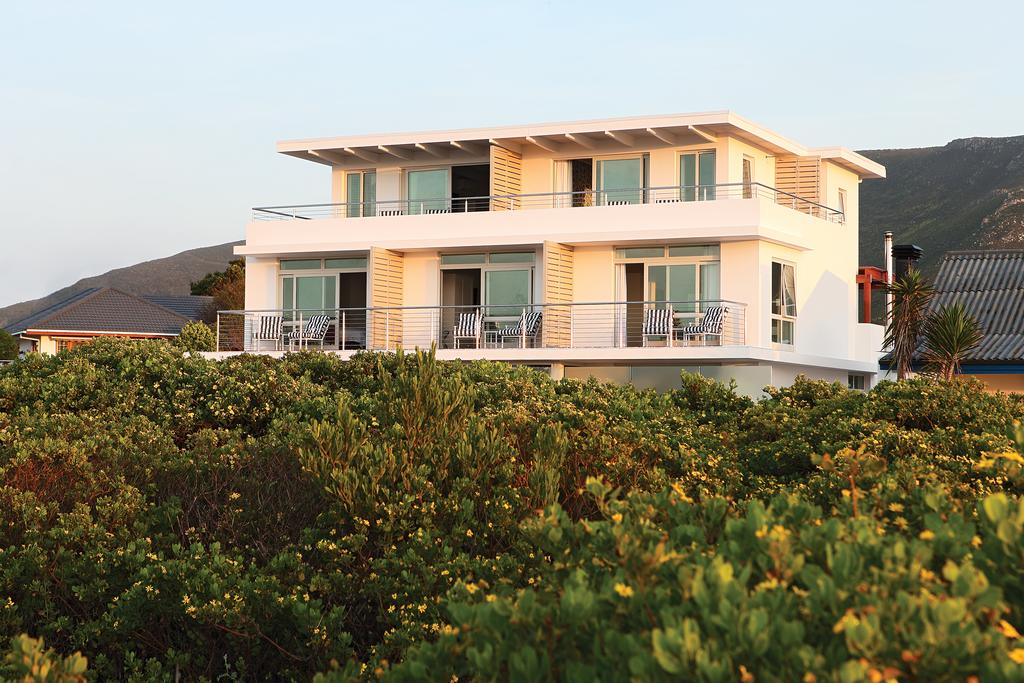 A large white house sits in the middle of a field of flowers