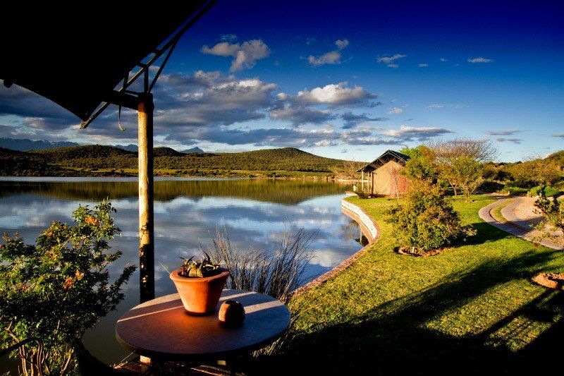 A table in front of a lake with a potted plant on it