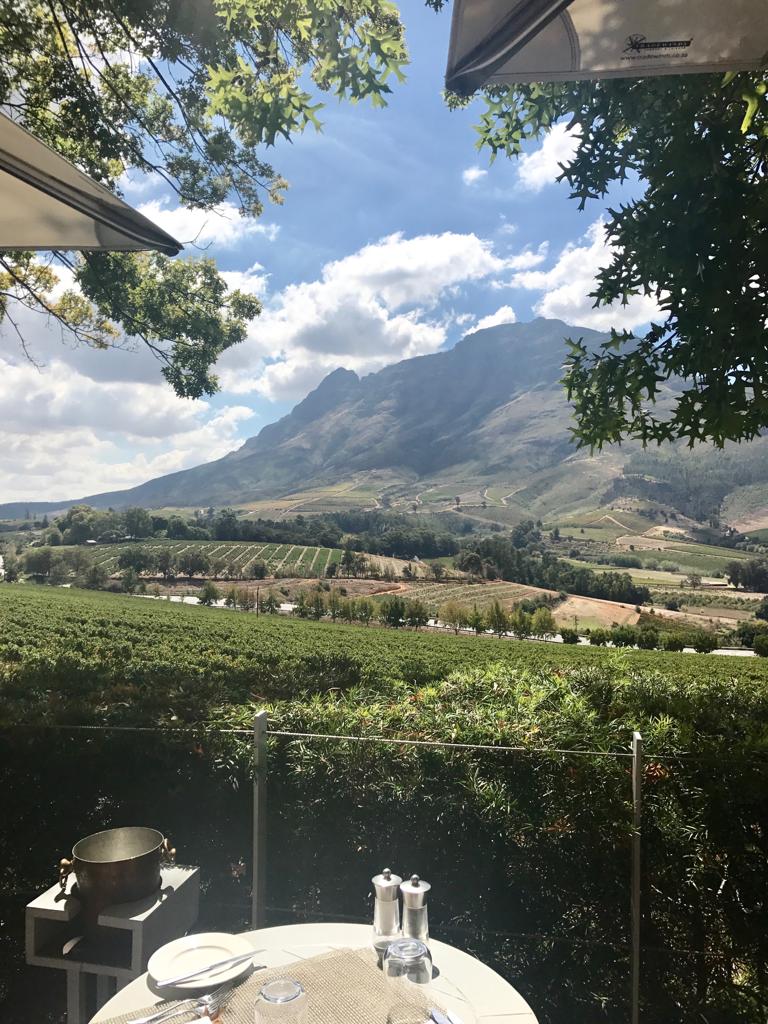 A table with a view of a mountain and a vineyard.