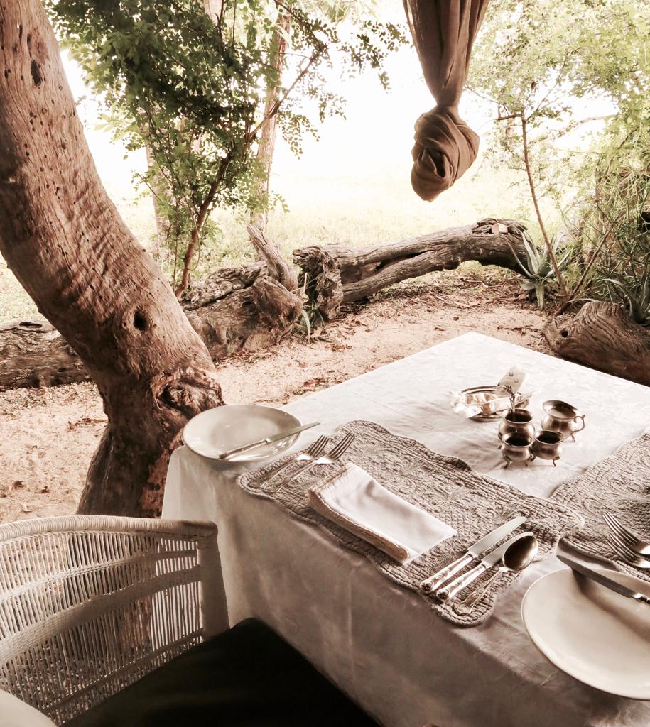 A table with plates utensils and trees in the background