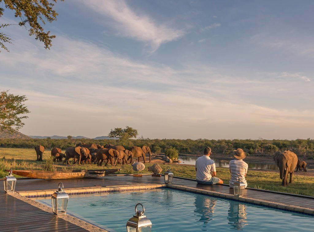 Two people are sitting on the edge of a swimming pool looking at elephants.