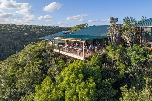 An aerial view of a restaurant surrounded by trees in the middle of a forest.
