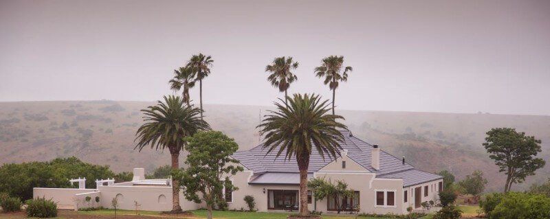 A white house with palm trees in front of it