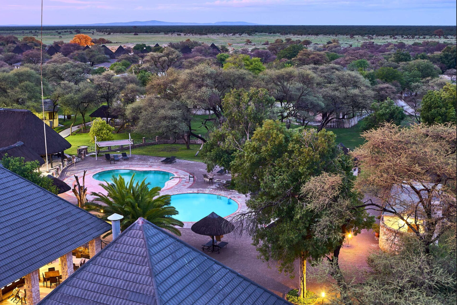 An aerial view of a swimming pool surrounded by trees.