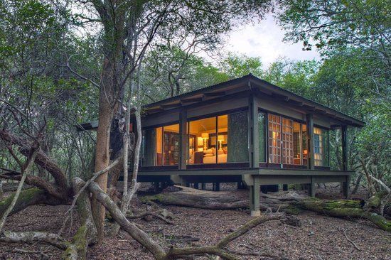 A small house with a lot of windows is in the middle of a forest.