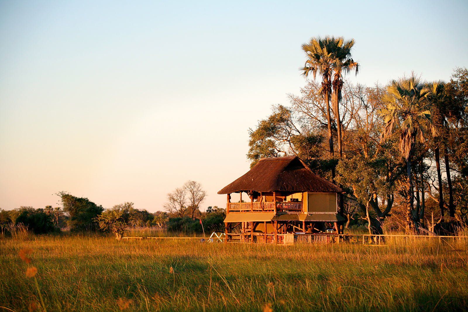 A house in the middle of a field with palm trees in the background