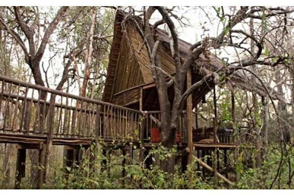 A tree house with a wooden deck in the middle of a forest.