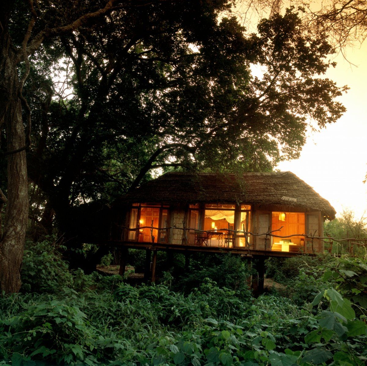 A small house in the middle of a forest