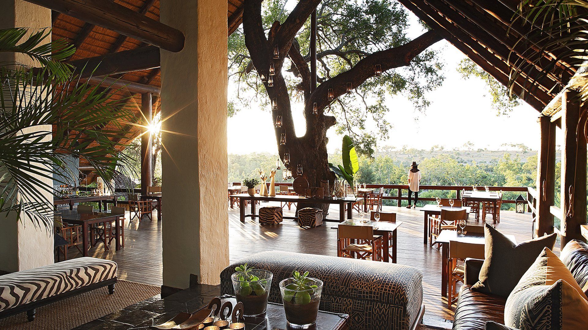 A living room with a large tree in the background
