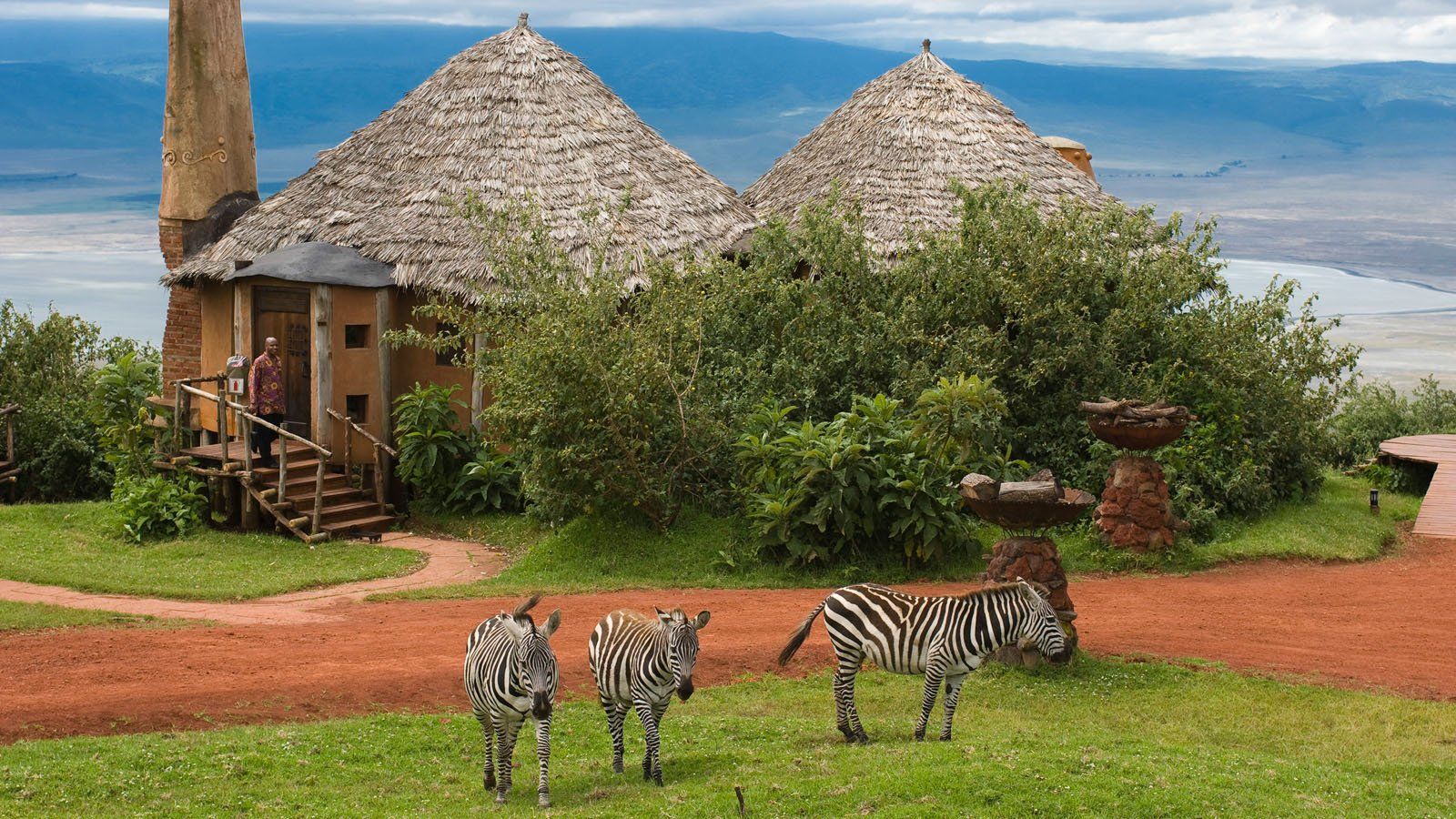 Three zebras are standing in front of a thatched hut.