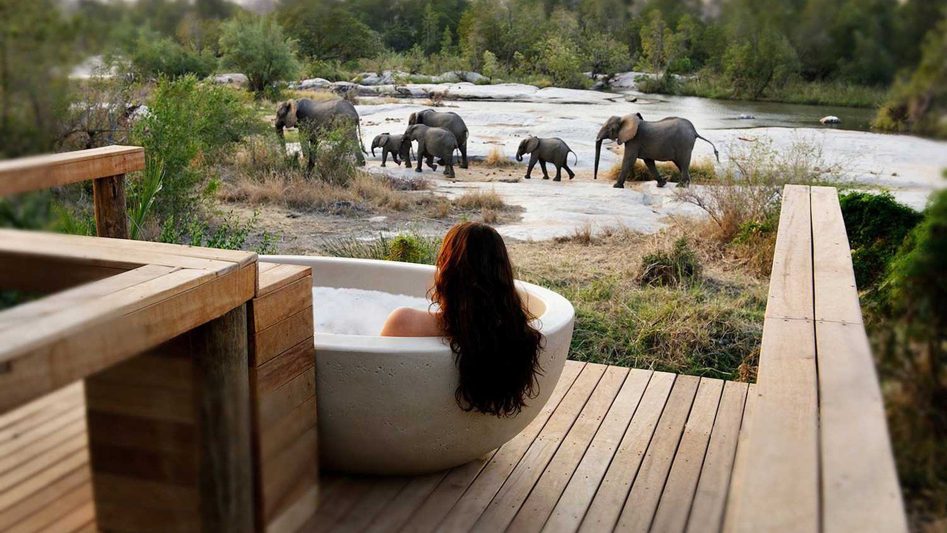 A woman is taking a bath with elephants in the background