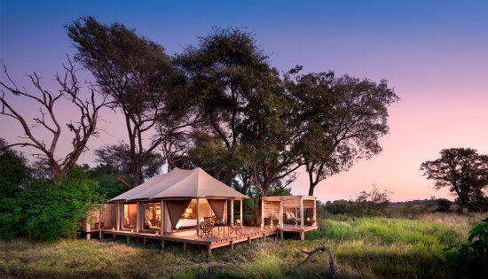 A tent is sitting in the middle of a field surrounded by trees.