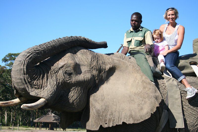 A man and woman are riding on the back of an elephant