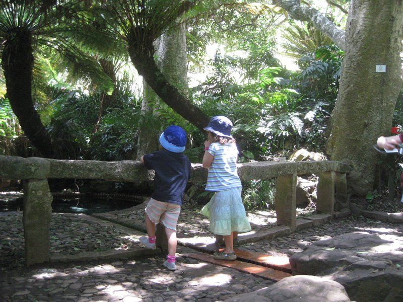 A boy and a girl are looking over a fence in the woods