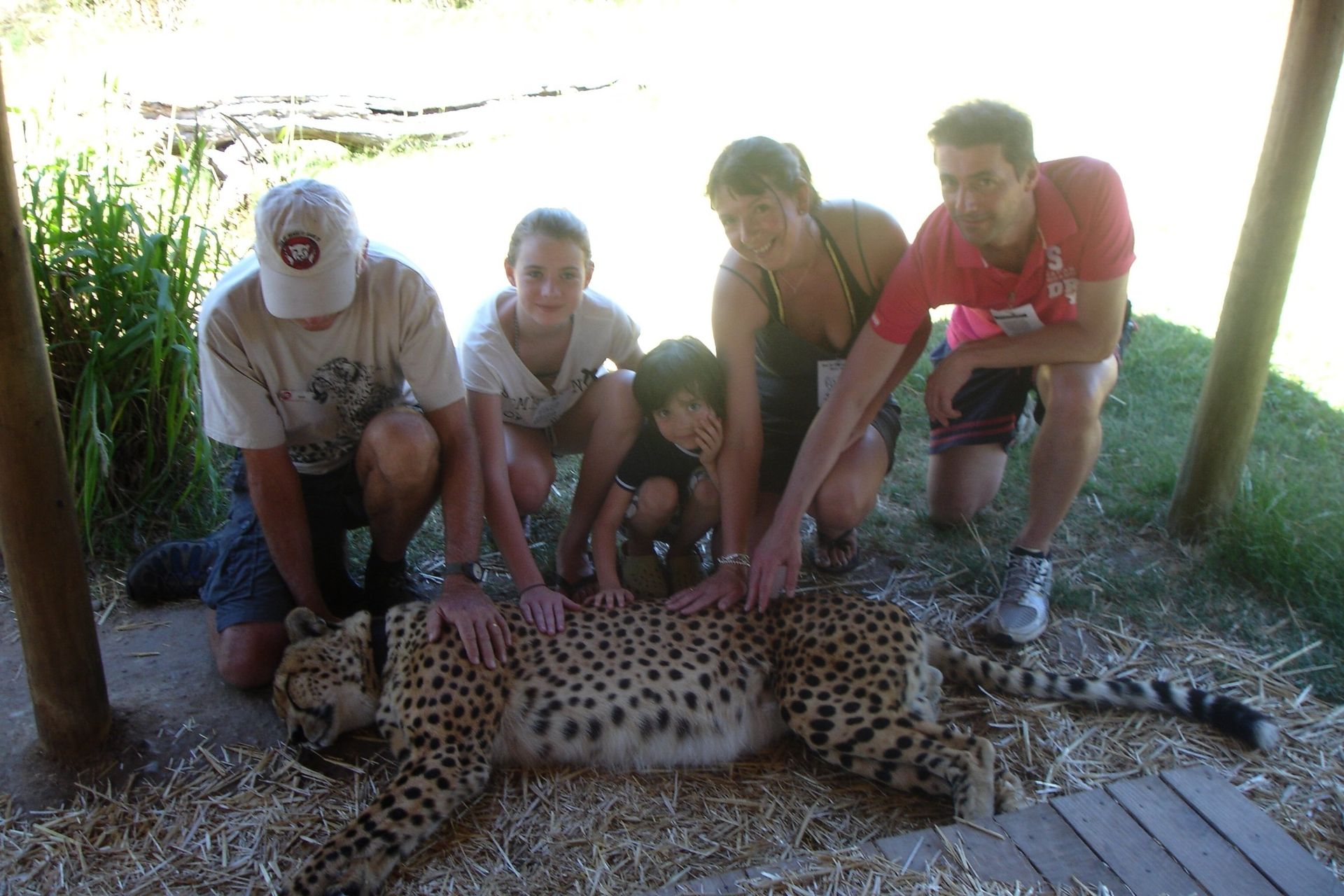 A group of people are kneeling around a leopard