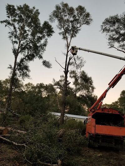 A crane is cutting down a tree in a field.