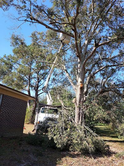 A tree being cut down by a crane in front of a house.