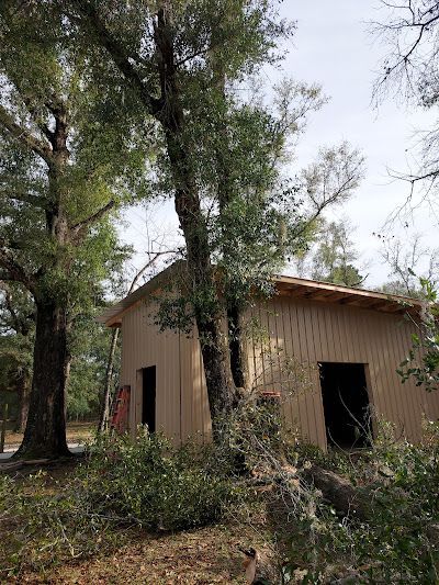 A building with a ladder in front of it is surrounded by trees.