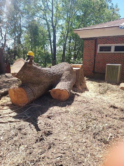 A large log is laying on the ground in front of a brick building.