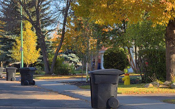 Waste Hauling — Roll-off Waste Bin in Hampden, Massachusetts