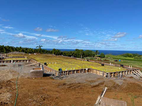 Construction Site — Keaau, HI — Kekahu Concrete LLC