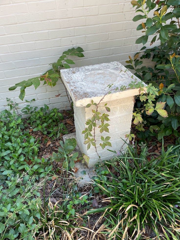 A concrete bench is sitting in the middle of a garden next to a brick wall.