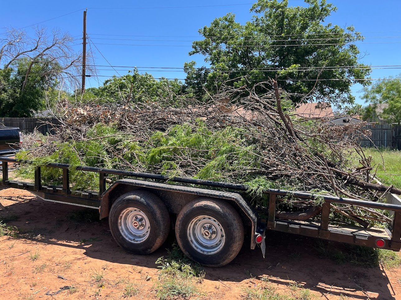 A trailer filled with branches and leaves is parked in a dirt field.