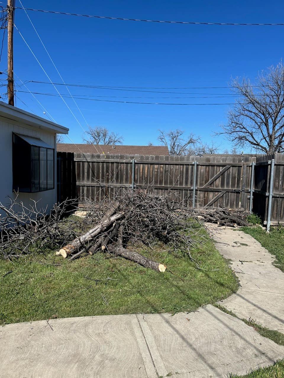 A pile of logs is sitting in the backyard of a house next to a wooden fence.