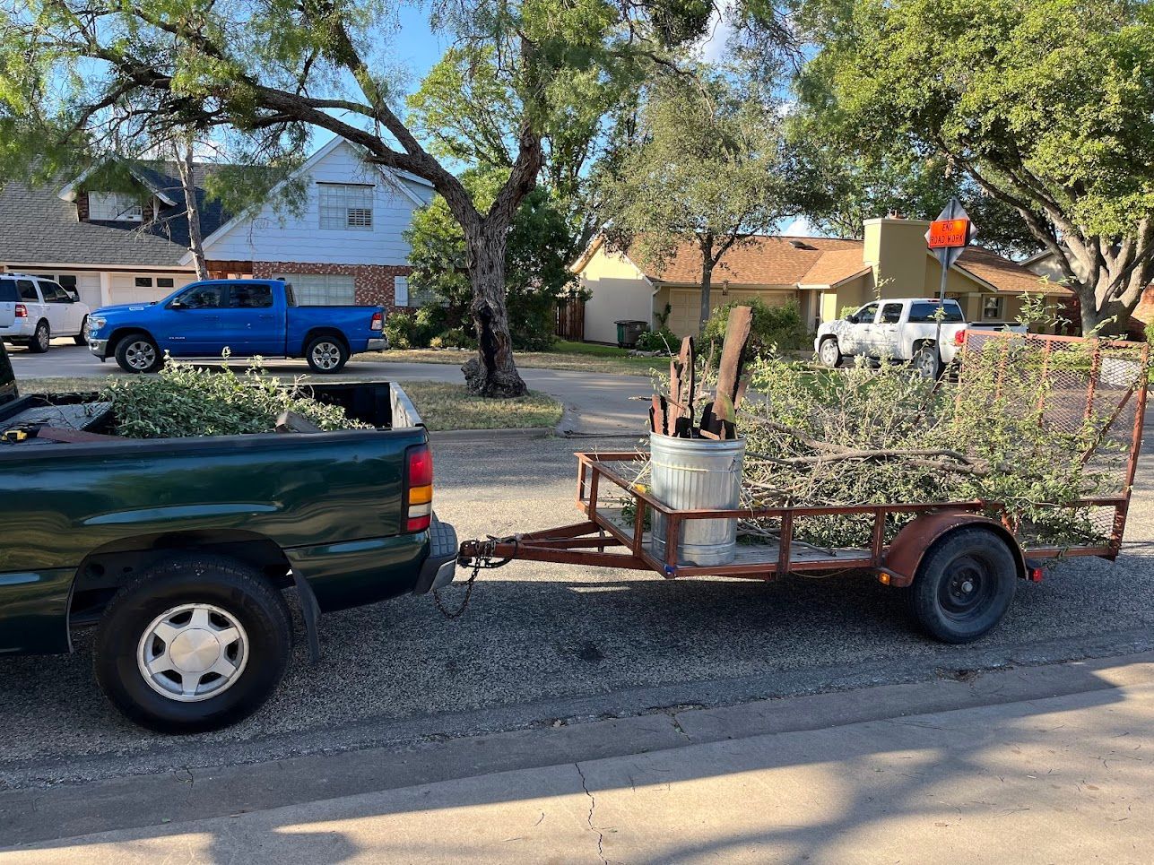 A blue truck is pulling a trailer full of trees.