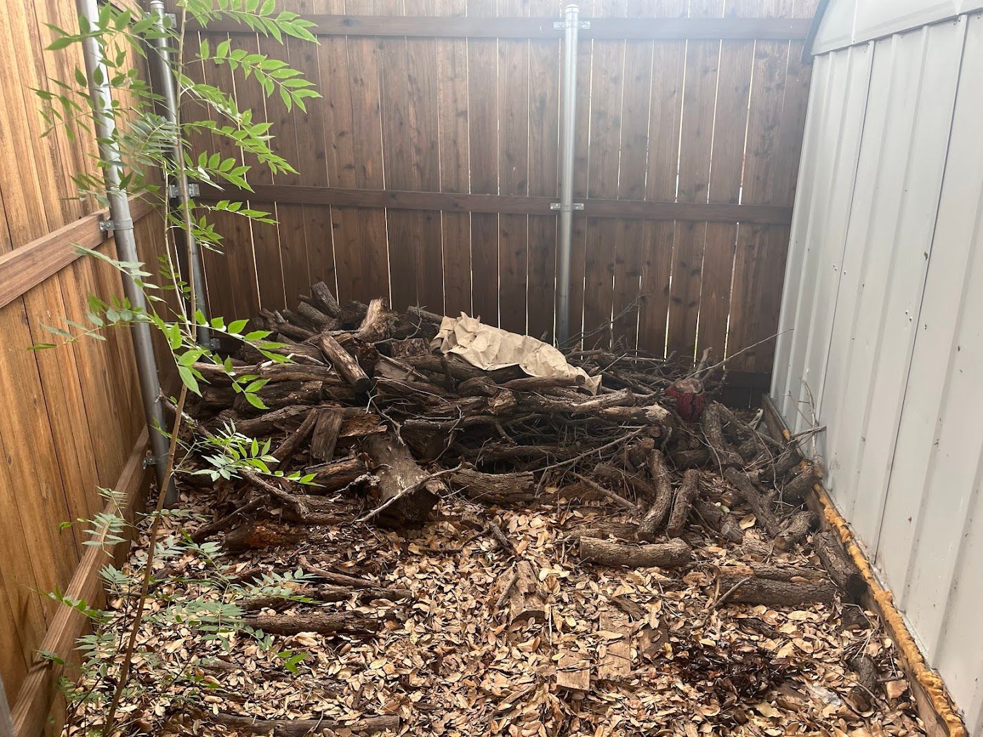 A pile of wood is sitting in front of a wooden fence.