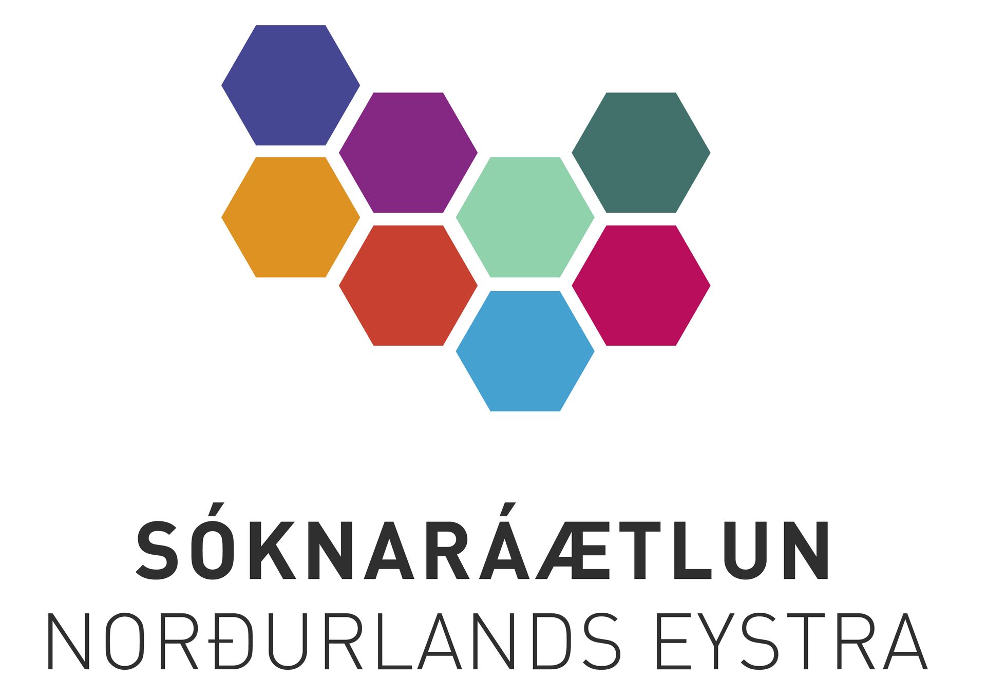 Heimasíða SSNE